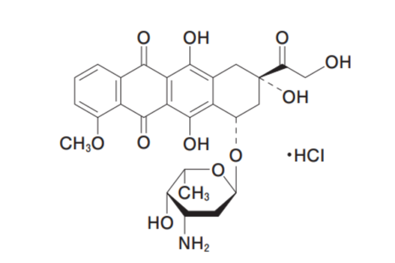 Moxifloxacin EMS塩酸塩のリーフレット